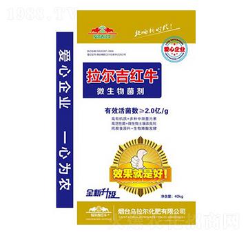 40kg΢�������-������