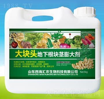 大塊頭地下根塊莖膨大劑-四海匯農(nóng)