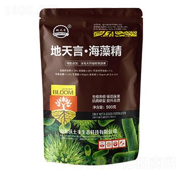 �����ԡ����徫-�����S