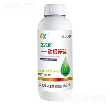 1000ml���}�\��-�����-̩������