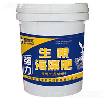 ���������-��������