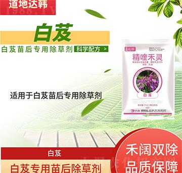 白芨除草劑-白芨苗后-白芨專用-大韓