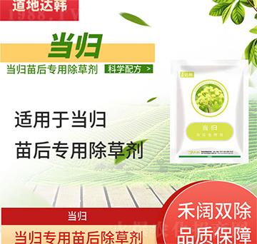 ��(d��ng)�w���݄�-��(d��ng)�w���-��(d��ng)�w����-���n