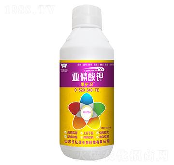 �������0-520-340+TE-���o(h��)�l(w��i)-�֠���(y��u)