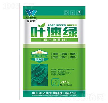 ΢�������-�~�پG-�֠���(y��u)