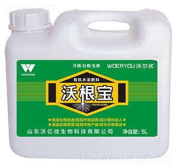 �ָ���-�֠���(y��u)