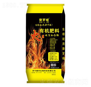 ��ɽ�r�ЙC(j��)����-Ħ�_��-���A����