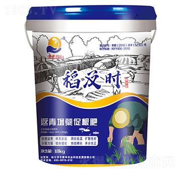 �������Y�ٸ���-�����r(sh��)-�����r(n��ng)�I(y��)