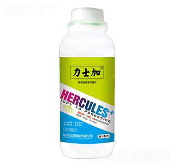 �����ĸ��ޏ�(f��)��-��ʿ��