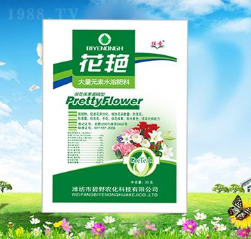 �������������ʹ���Ԫ��