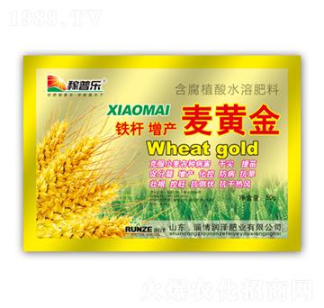 �F�U���a(ch��n)���S��-��(r��n)�ɷ�