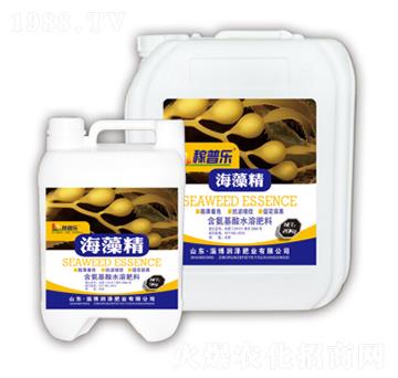 ���徫-���՘�(l��)-��(r��n)�ɷ�