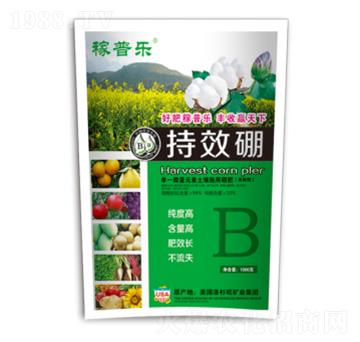 ���b��Ч��-���՘�(l��)-��(r��n)