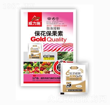 ����������-����ʩ