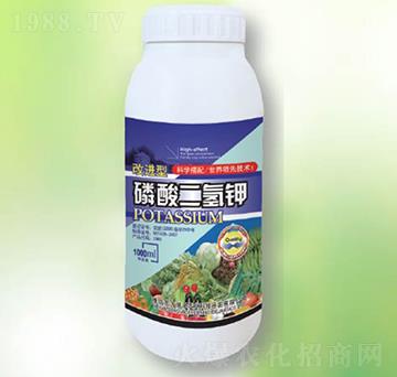 ��������-�|������