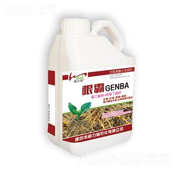 ����-����ʩ