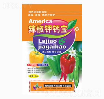 ������}��-����ʩ