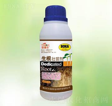 �������焩-�|������