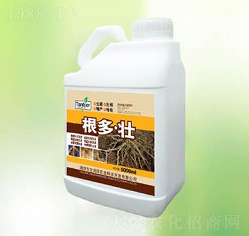 ������-�|������