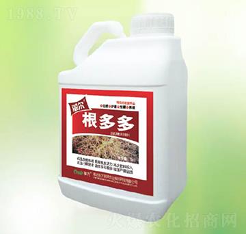 �����-�|������