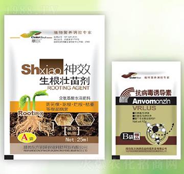 �������焩+�������T��(d��o)��-�|������