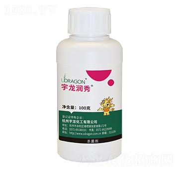 ��߻��뿾���-��������-��������