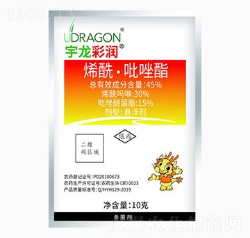 10gϩ����������-��