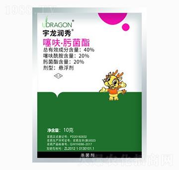 10g��߻��뿾���-������(r��n)��-��������