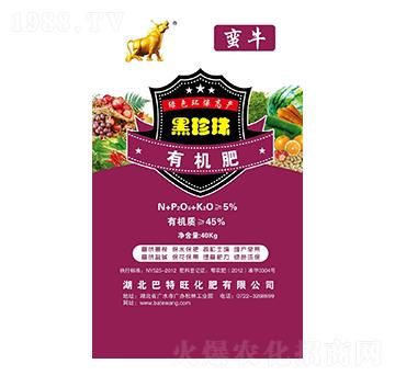 �������ЙC(j��)��-�Uţ-������