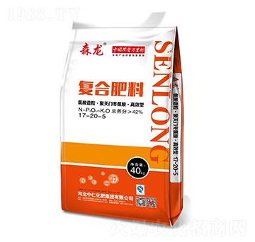 ���������������T�����ᡤ�߮a(ch��n)�͏�(f��)�Ϸ���17-20-5-ɭ��-���ʼ��F