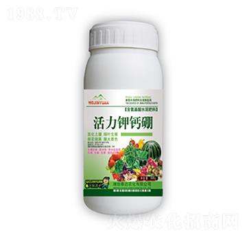 ������}�𣨾G��-̩�_(d��)�r(n��ng)��