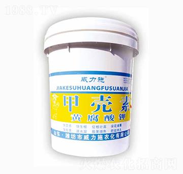 �ך���-�S�����-����