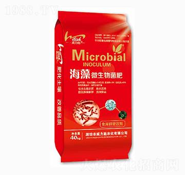 ����΢�������-����ʩ