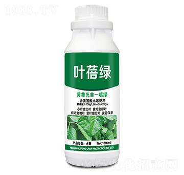 �S������һ���G-�~���G-�J�S����