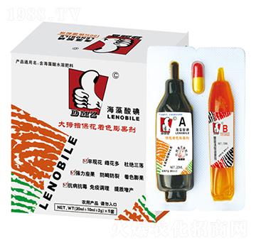 ��Ĵָ�������-�κ��r(n��ng)�I(y��)