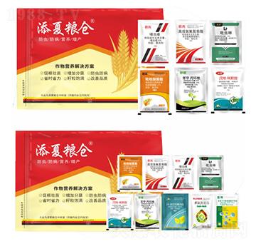 �������a�ײ�-���ļZ�}-�S�՘�