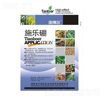 ʩ����-�|������