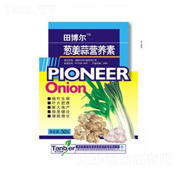 �[���������-�|������