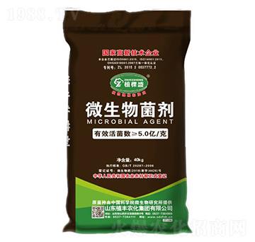 ΢�������-ֲ��ʢ-ֲ