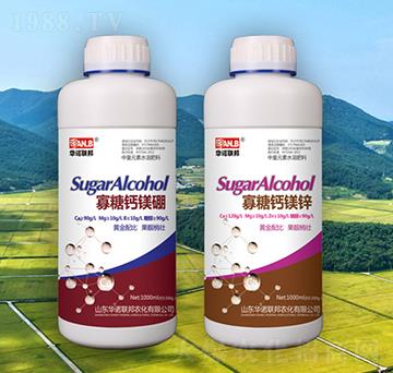 �����}�V�\-�A�Z(li��n)��