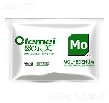 �W�����f��-������