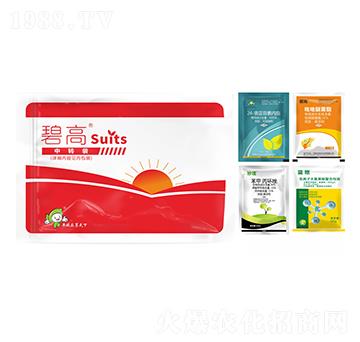 ����I(y��ng)�B(y��ng)�ײ�-�̸�-�S