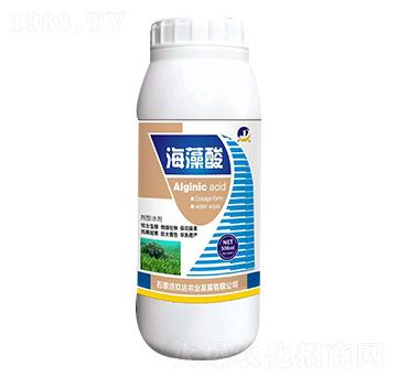 ������-���_(d��)