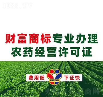 �r(n��ng)ˎ��(j��ng)�I�S���C�k��-ؔ���̘�(bi��o)