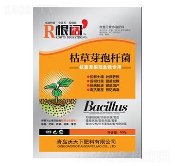 500g�ݲ�ѿ�ߗU��-���-������