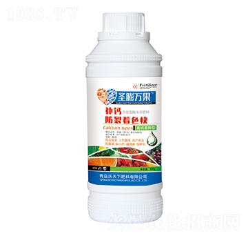 �a(b��)�}������ɫ��-ʥ���f(w��n)��-������