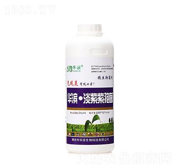 1000ml���ϔM��ù-�A�I