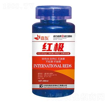 �t�O-ؐ������