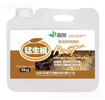 ��(f��)��΢�������-������-ؐ������