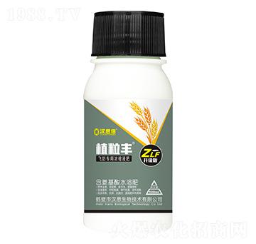 �w�����Ý�sҺ�ʣ������棩-ֲ���S-�h˼����